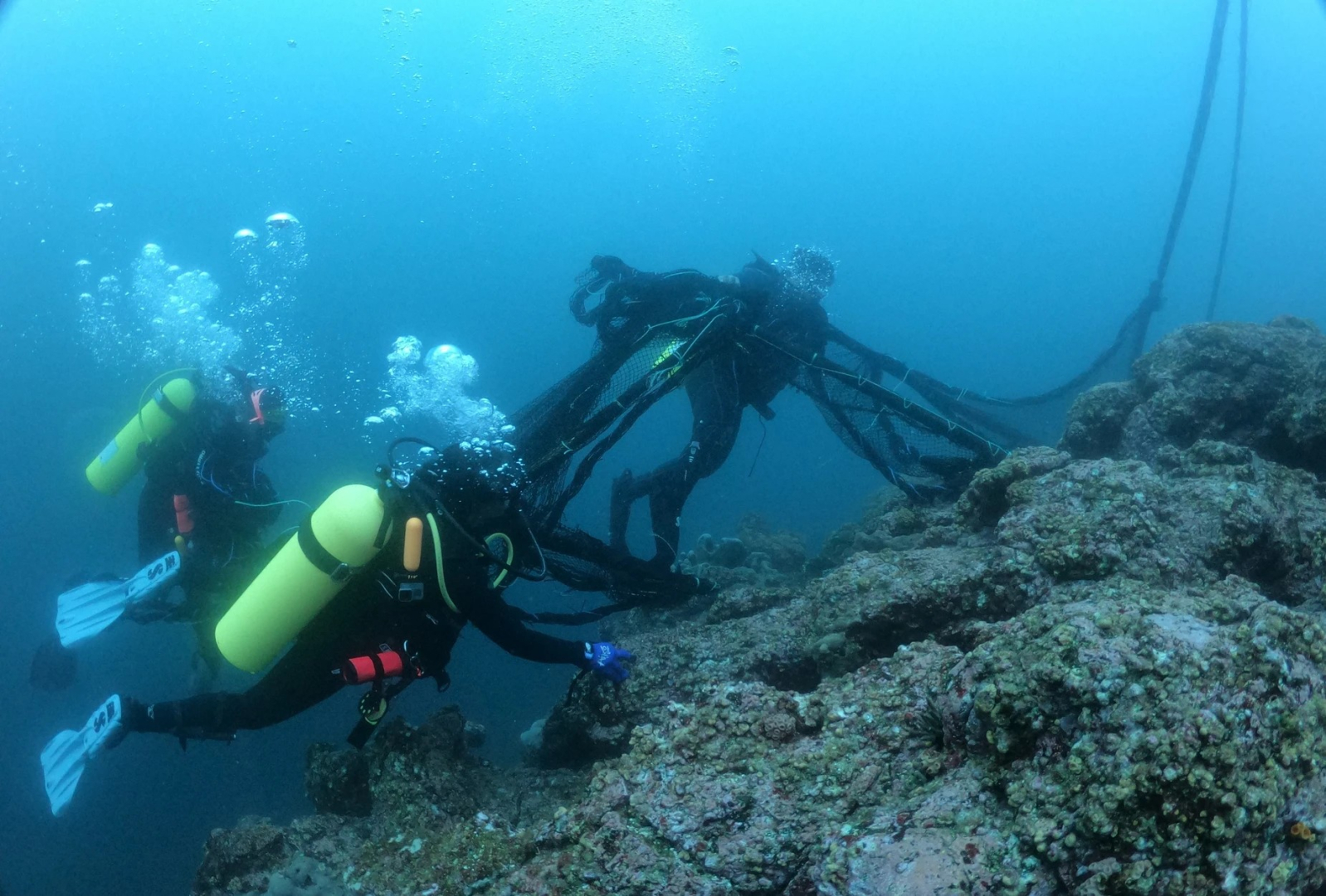 Recuperación de un plantado en Cabo Marshall al norte de la isla Isabela. Fotos: Parque Nacional Galápagos.