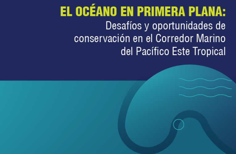 Curso para periodistas y profesionales de la comunicación sobre el CMAR