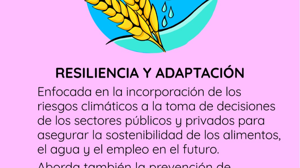 Crédito: Olga Cajina