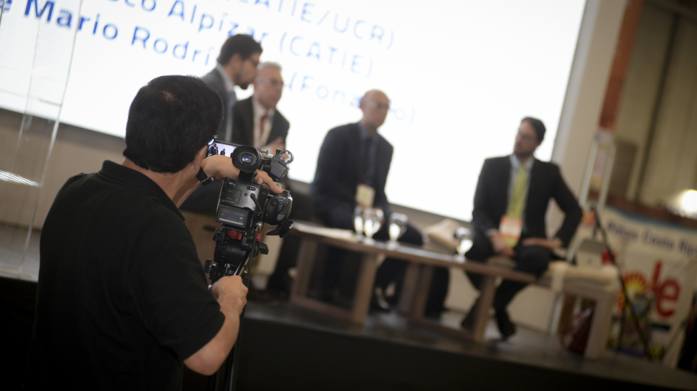 Las actividades que tuvieron lugar en el escenario principal se transmitieron vía streaming. John Mullins / Parque Viva